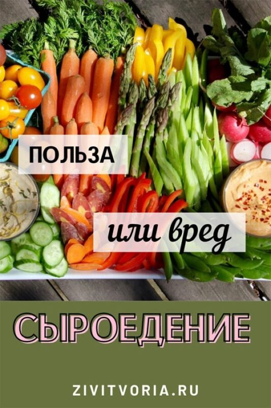 Польза и вред сыроедения | Журнал ZiviTvoria