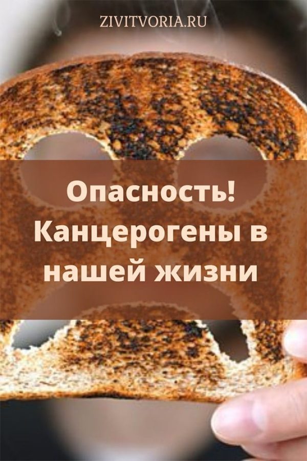 Группы канцерогенов | Zivitvoria