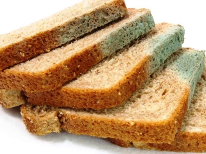 Хлеб с плесенью