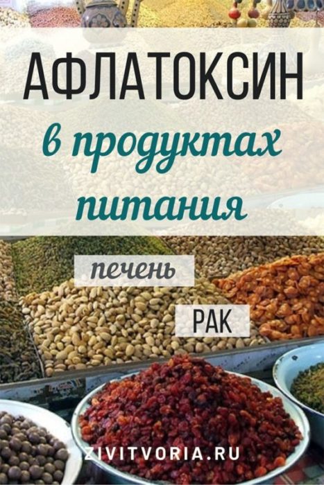 Что такое афлатоксин, и в чем его опасность?